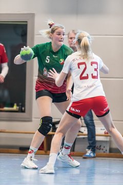 Bild 252 - F HSG Kremperheide/Muensterdorf - Slesvig IF 2 : Ergebnis: 30:26